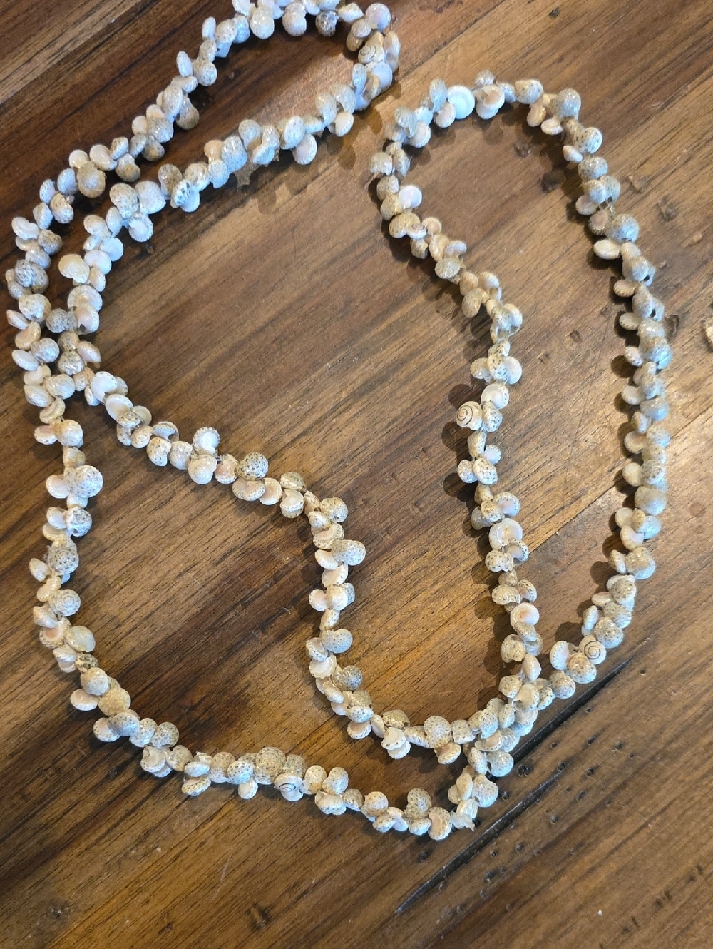 Teeny Tiny Sea Shell Long Necklace